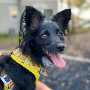 Fundraising Page: Stephanie Ruch